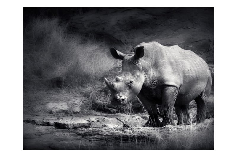 Fototapet Rhino Lost In Dreams 250x193 - Artgeist sp. z o. o. - Interiør - Tapet - Fototapeter