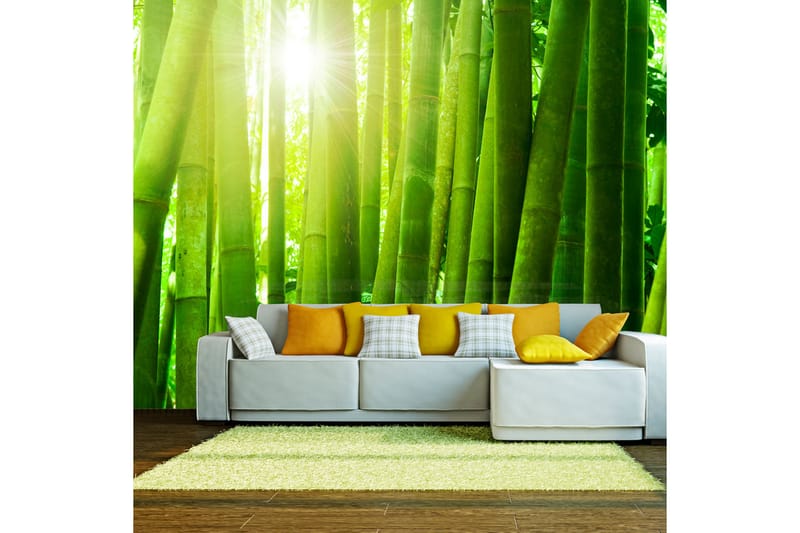 Fototapet Sun And Bamboo 250x193 - Artgeist sp. z o. o. - Interiør - Tapet - Fototapeter