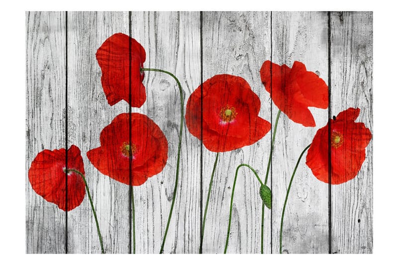 Fototapet Tale Of Red Poppies 100x70 - Artgeist sp. z o. o. - Interiør - Tapet - Fototapeter