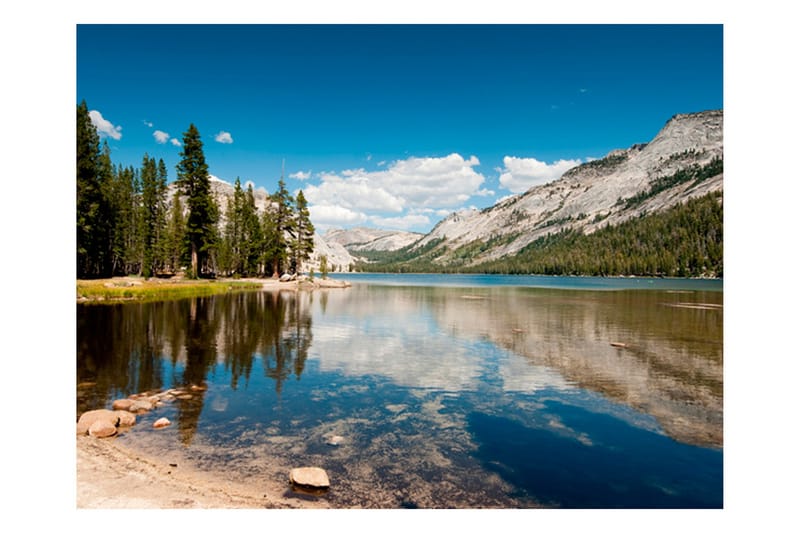 Fototapet Tenaya Lake Yosemite National Park 250x193 - Artgeist sp. z o. o. - Interiør - Tapet - Fototapeter