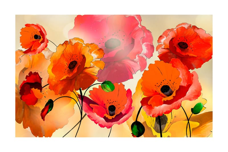 Fototapet Velvet Poppies 450x280 - Artgeist sp. z o. o. - Interiør - Tapet - Fototapeter