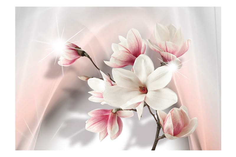 Fototapet White Magnolias 250x175 - Artgeist sp. z o. o. - Interiør - Tapet - Fototapeter