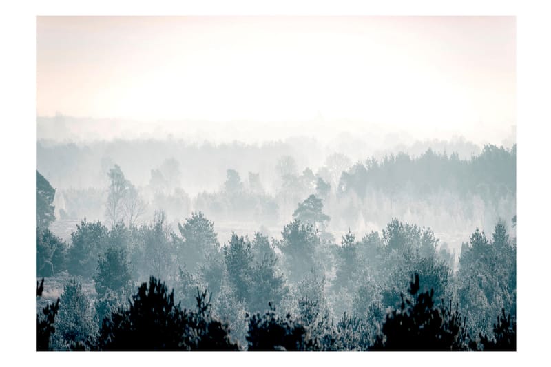 Fototapet Winter Forest 100x70 - Finnes i flere størrelser - Interiør - Tapet - Fototapeter