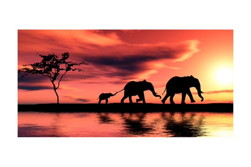 Fototapet XXL Elephants Family 550x270 - Artgeist sp. z o. o. - Interiør - Tapet - Fototapeter