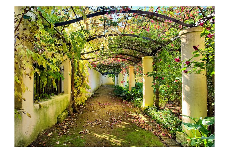 Fototapet Pergola 100x70 - Artgeist sp. z o. o. - Interiør - Tapet - Fototapeter