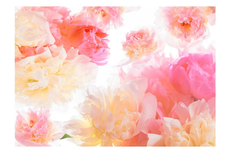 Fototapet Pastel Peonies 400x280 - Artgeist sp. z o. o. - Interiør - Tapet - Fototapeter