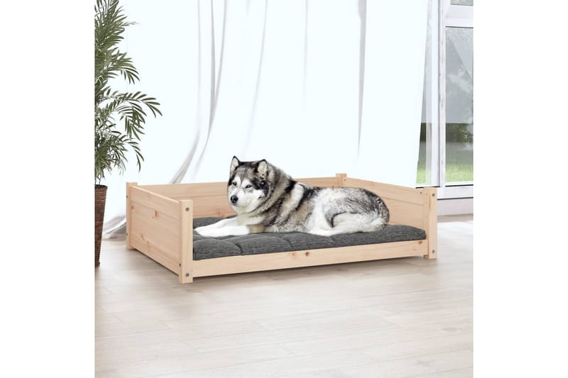 beBasic Hundeseng 105,5x75,5x28 cm heltre furu - Brun - Møbler - Husdyrmøbler - Hundemøbler - Hundekurv & hundeseng