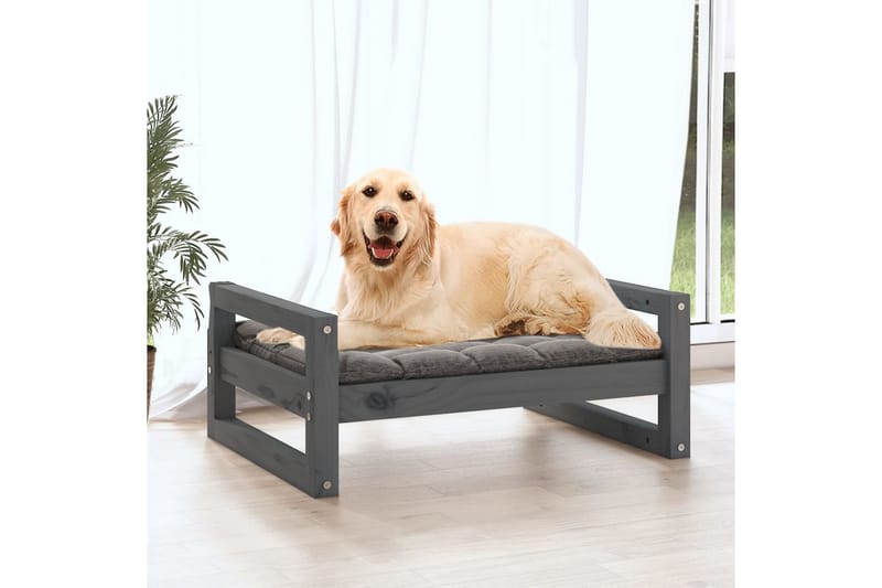 beBasic Hundeseng grå 75,5x55,5x28 cm heltre furu - GrÃ¥ - Møbler - Husdyrmøbler - Hundemøbler - Hundekurv & hundeseng