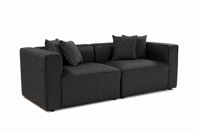 2-seters Sofa Abbas - Antrasitt - Møbler - Sofaer - 2 seter sofa